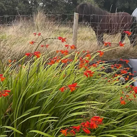 公寓 The Stables A Small Piece Of Heaven Whitegate (Galway)