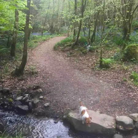 아파트 The Stables A Small Piece Of Heaven Whitegate (Galway)